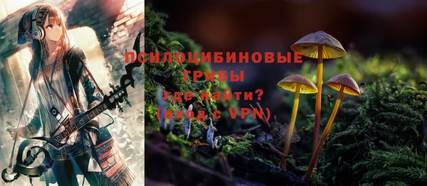 мет Коряжма