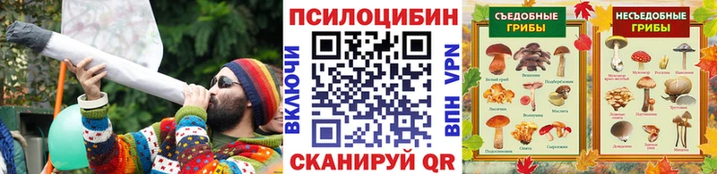Купить где  Сарапул  Псилоцибиновые грибы ЛСД 